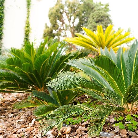 Agriturismo La Dimora Dei Re Sanremo Eksteriør bilde